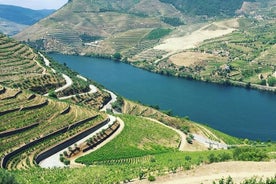 Comida e vinho em passeio particular no Vale do Douro saindo do Porto