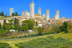 Privat Toscana-tur: Dagstur til Siena, San Gimignano og Chianti