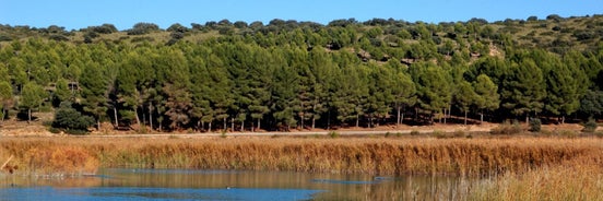 Casa Rural La Sureña 2