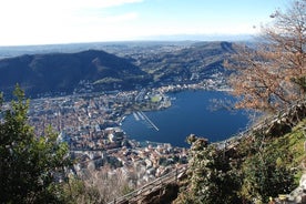 Tour al Lago di Como di mezza giornata con partenza da Milano