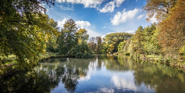 Autumn in the park. Beautiful autumn landscape with reflection of trees in the lake of national forest Rivierenhof, Antwerp, Belgium.