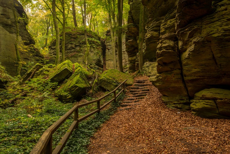 Mullerthal Trail in Berdorf, Echternach, Luxembourg