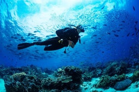 Expérience de plongée sous-marine d'une demi-journée à Oludeniz