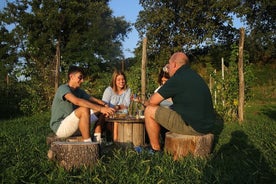  Beekeeping Farm Tour and Tasting Experience in Lazise