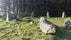 Aikey Brae Stone Circle, Aberdeenshire, Scotland, United Kingdom