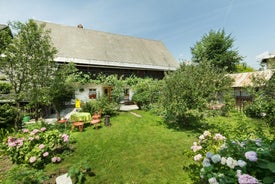 House, Garden And a Green Cat