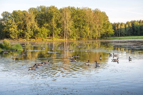 photo of Rosenkällasjön lake in Tinnerö eklandskap in Sweden.