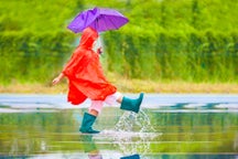 Rainy-day activities in Rome, Italy