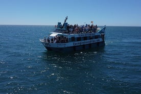 Dolphin watching on a Catamaran in Fuengirola