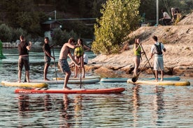 Stand Up Paddle Center dans le Rhin