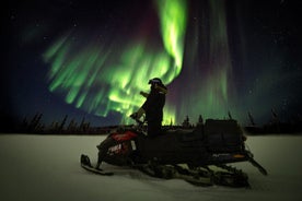 Aurora Night Snowmobile Safari Single Driver Snowmobile