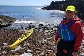 Kayak de mer sur la côte de la chaussée des géants