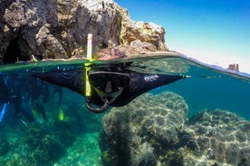 Eco-snorkeling nas Ilhas Medes