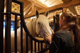 Lipica Stud Farm & Skocjan Caves - Excursion à terre au départ de Trieste