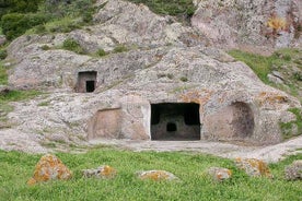 Cagliari: excursão privada de dia inteiro à Sardenha pré-histórica de Chia