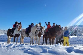 From Borovets: Horse Riding Experience