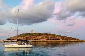  Cruzeiro privado de Naxos à Rina Cave e Koufonisi