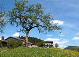 Apartments Bergleben Goldegg