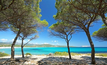 Photo of aerial view of Budoni beach on Sardinia island, Sardinia, Italy.