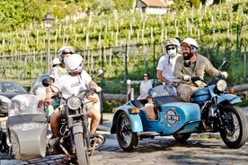 Visite guidée privée de 1 heure à 7 heures en side-car d'époque