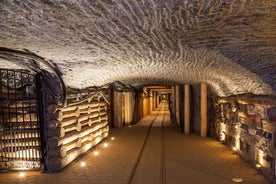 Wieliczka saltnámur: Hraðferð með leiðsögn