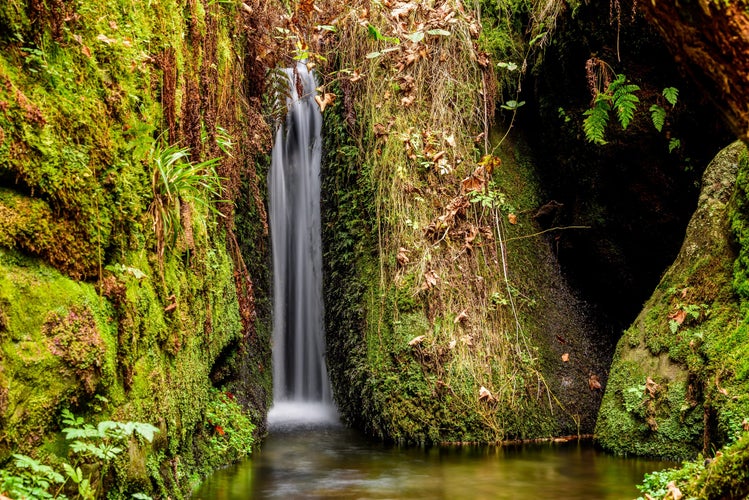 A waterfall on a stream Kachni Potok which flows into river Kamenice in Ceske Svycarsko NP.