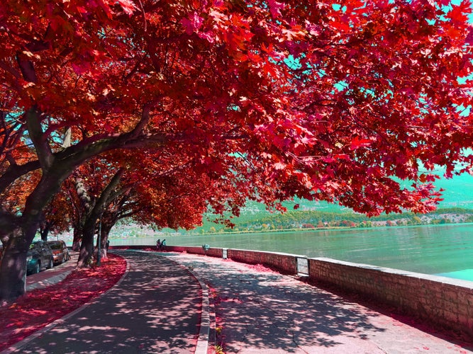 Photo of Loannina lake in autumn season with platanus trees reflecter in the water, in greece