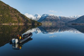 Excursión privada en RIB a las islas Hardangerfjord desde Rosendal