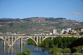 Photo of beautiful scenery of Peso da Regua in Portugal. The city, located along the Douro river and is surrounded by beautiful vineyards and hilly landscape.