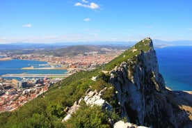 Historic Gibraltar Rock and St Michael's Cave Tour from Seville