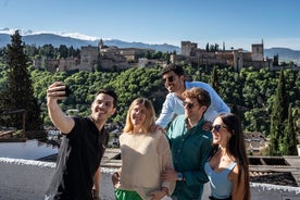 Granada på en dag med valfritt Alhambra från Malaga 