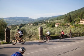 Fiesole: tour de medio día en bicicleta eléctrica por la campiña toscana y visita a la granja