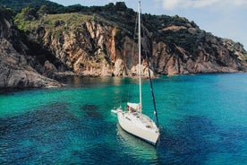 Excursión privada de día completo a Ibiza y Formentera en velero