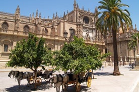 Monumentos de Sevilla: entradas a la catedral, el Alcázar y la Giralda 