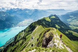 Einkaferð með bíl frá Bern til Grindelwald og Interlaken