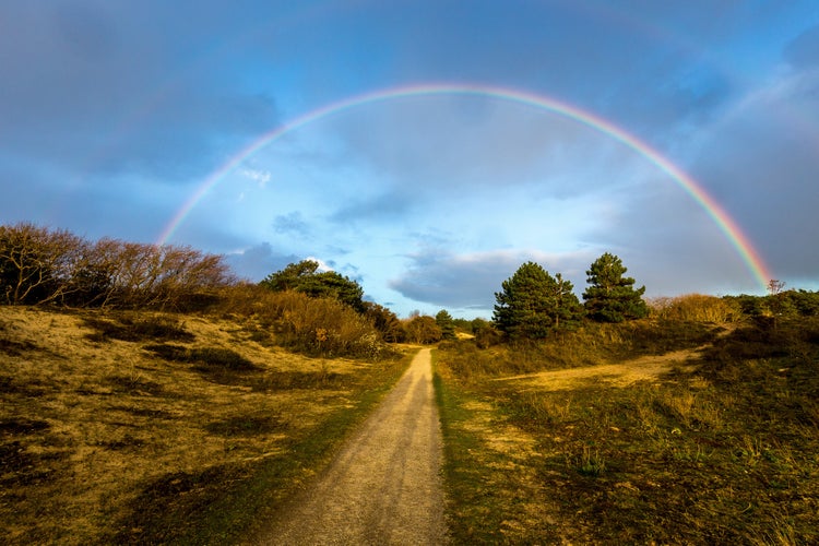 photo of view of The dutch dunes near wassenaar in the netherlands with a beautiful rainbow in the blue cloudy sky.