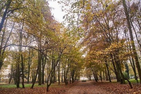 Park Kopernika (Gorzów Wielkopolski),Poland.