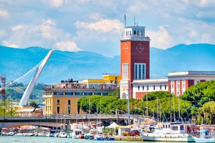 Naples, Italy. View of the Gulf of Naples from the Posillipo hill with Mount Vesuvius far in the background and some pine trees in foreground.