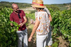 ทัวร์ไวน์ Languedoc ครึ่งวันแบบกลุ่มเล็กจาก Sète