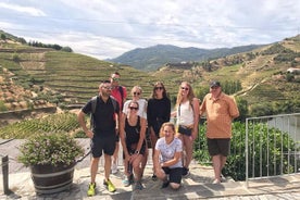 Tour della valle del Douro: Degustazione di vini, crociera sul fiume e pranzo, da Porto