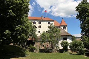 Capital of Slovenia, panoramic view with old town and castle.