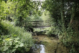 Barton's Mill