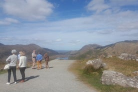 Classic Kerry Private Tour: Ring of Kerry Mountain Pass from Cork