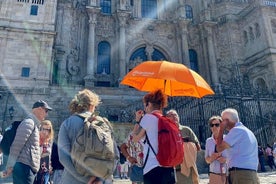 Rondleiding door het historische centrum met officiële gids