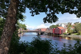 Trondheim: Discover the city of kings with a local guide