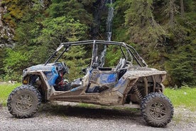 Experiência privada de buggy todas as estações em Pamporovo