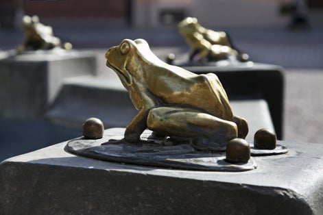 Frog at Raftsman Fountain (Pomnik flisaka) in Torun. Poland