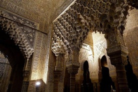 Visitez l'Alhambra de nuit (10 personnes)