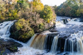 Hike World Heritage Reserve Waterfalls