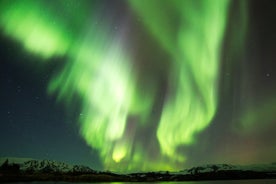 Croisière aurores boréales au départ de Reykjavik